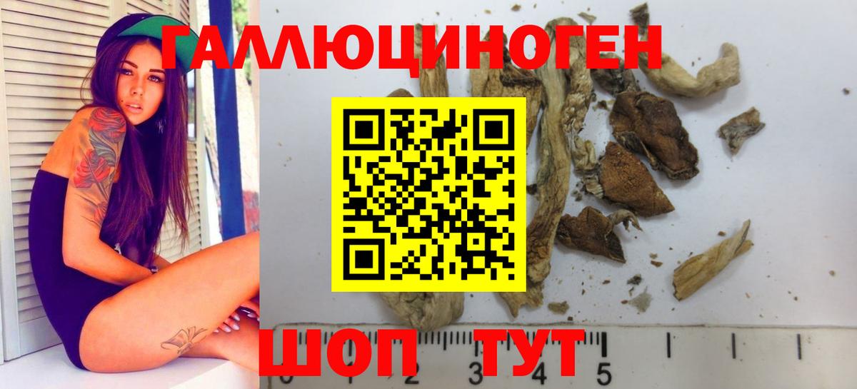 Новошахтинск  Галлюциногенные грибы Magic Shrooms  Вход с VPN 
